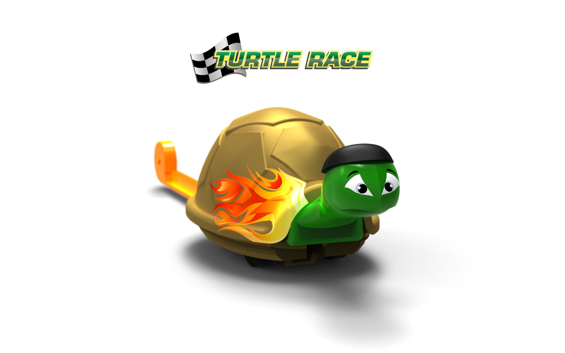 Turtlerace