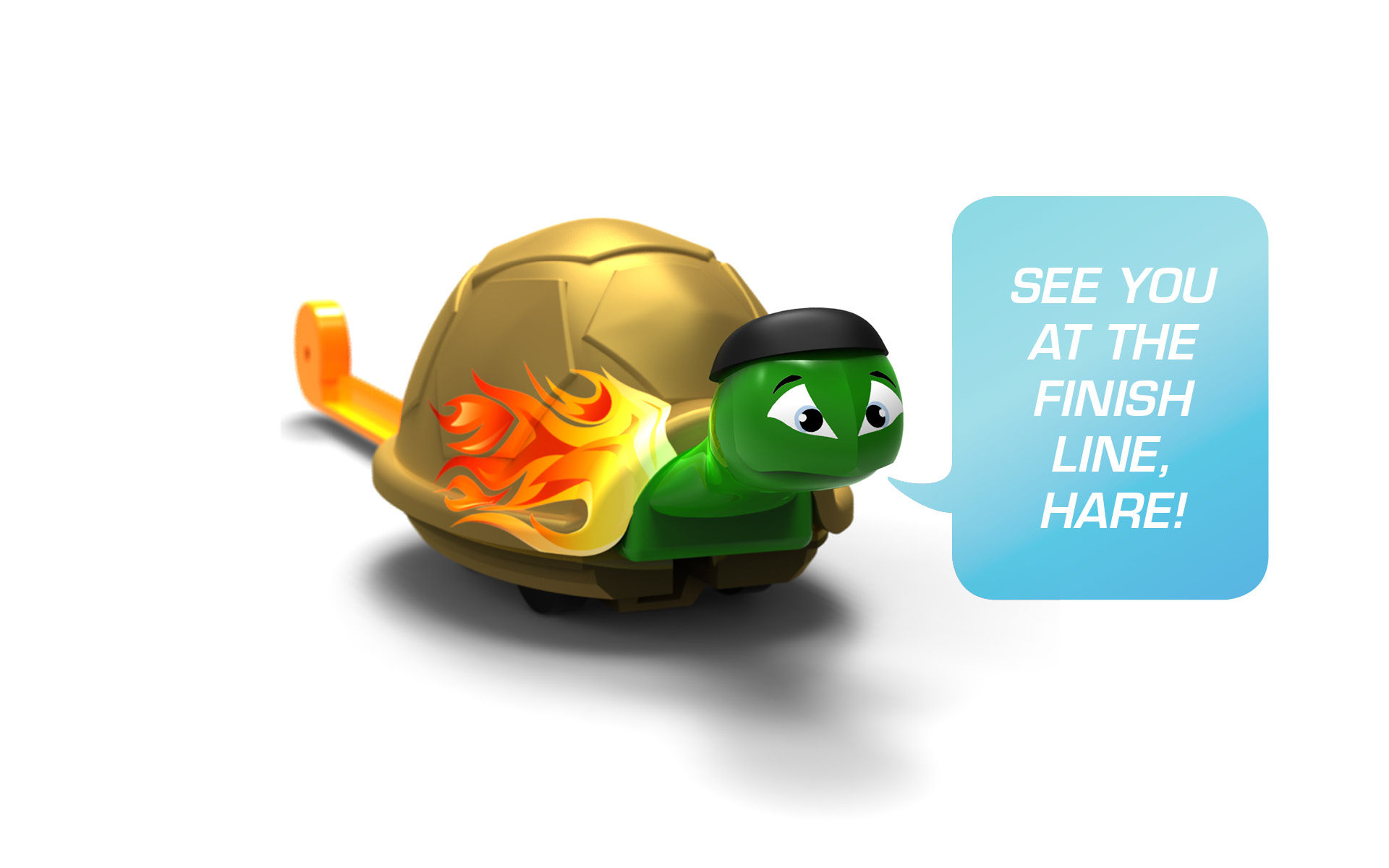 Turtlerace