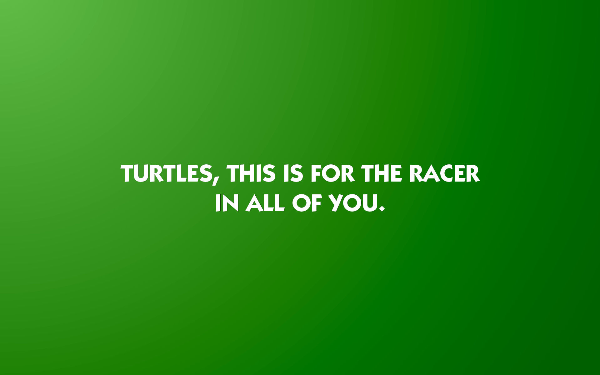 Turtlerace