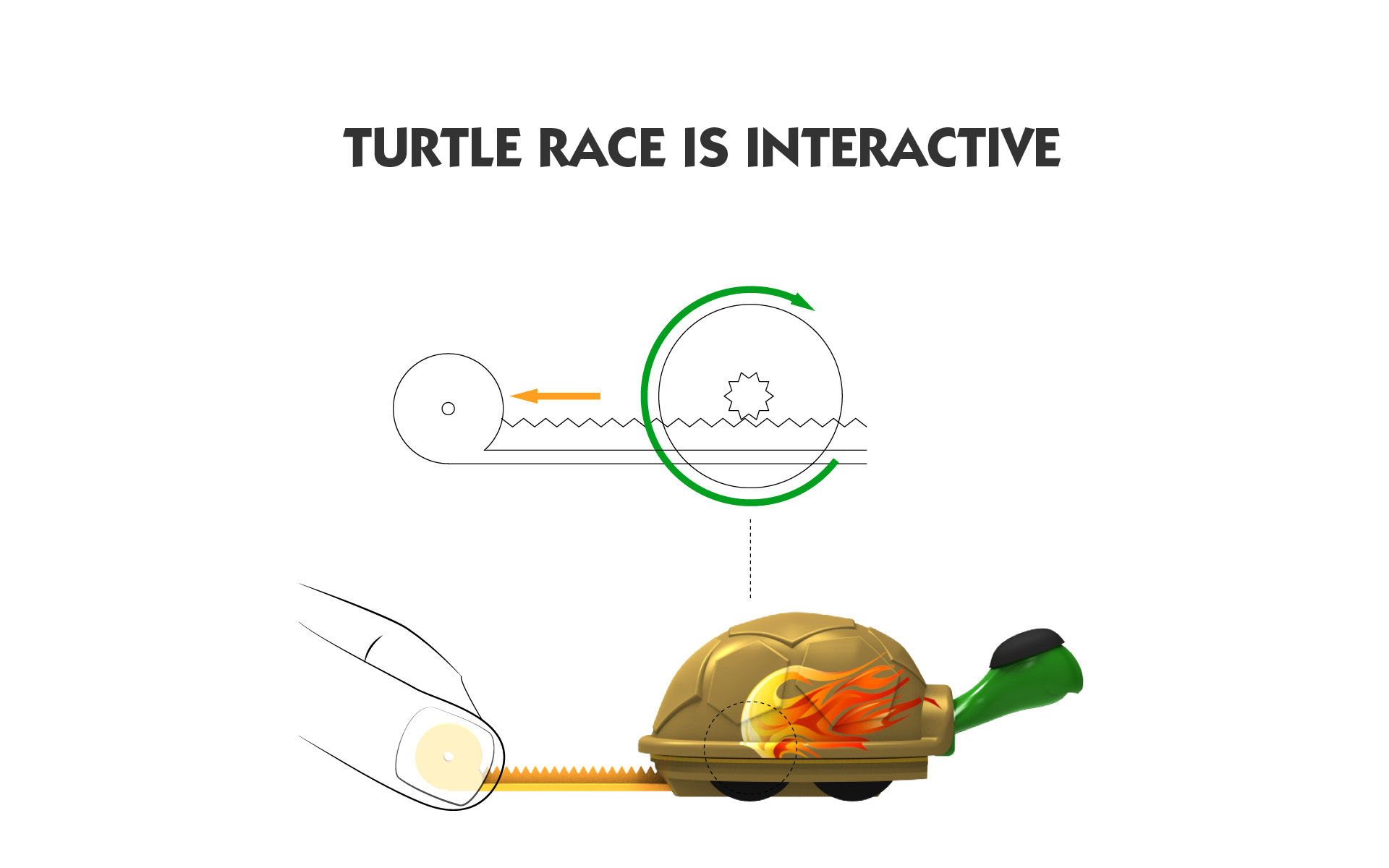 Turtlerace
