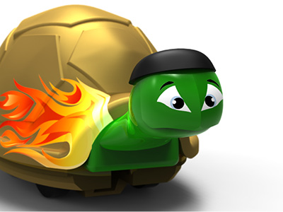 Turtlerace