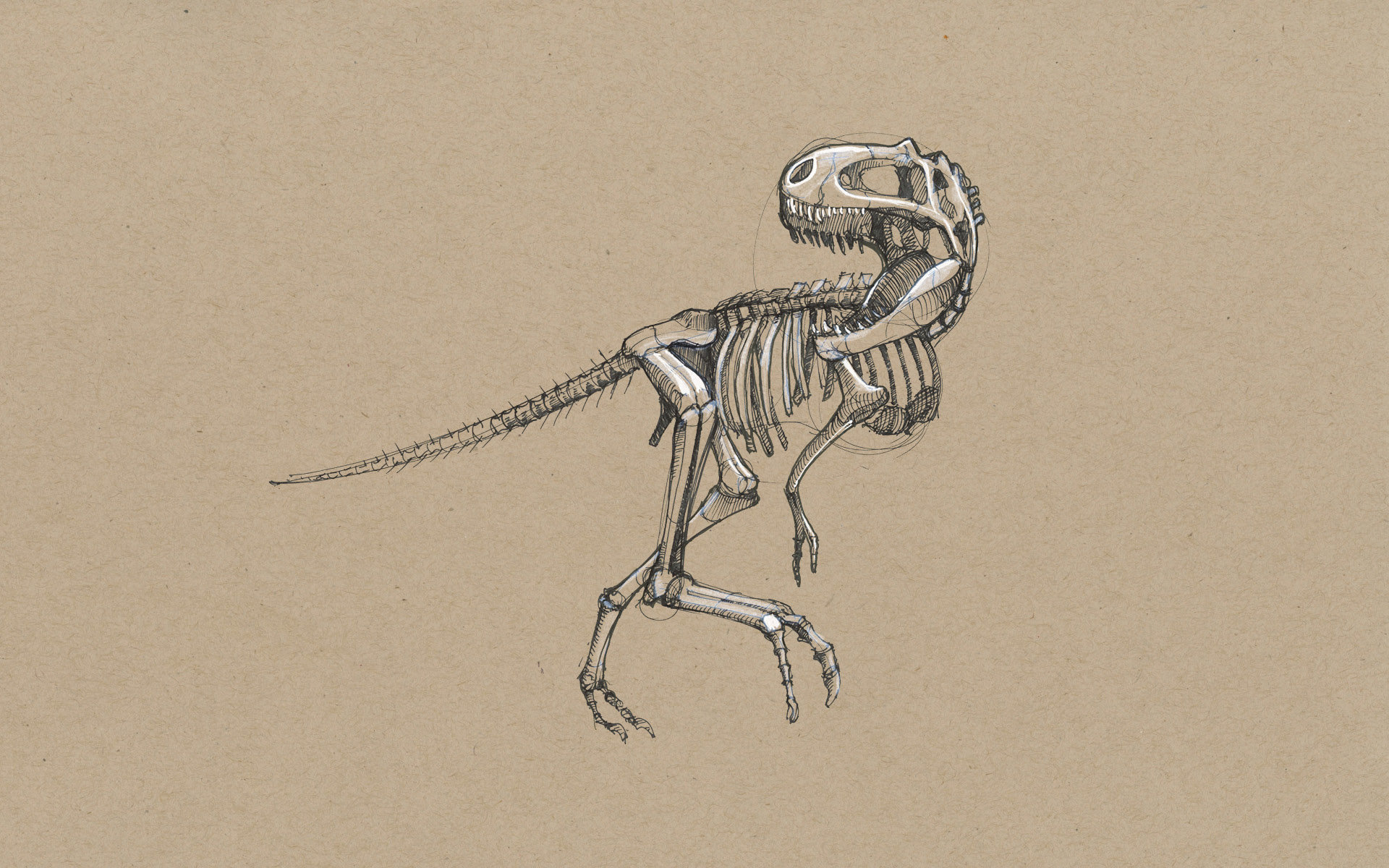 Sketches