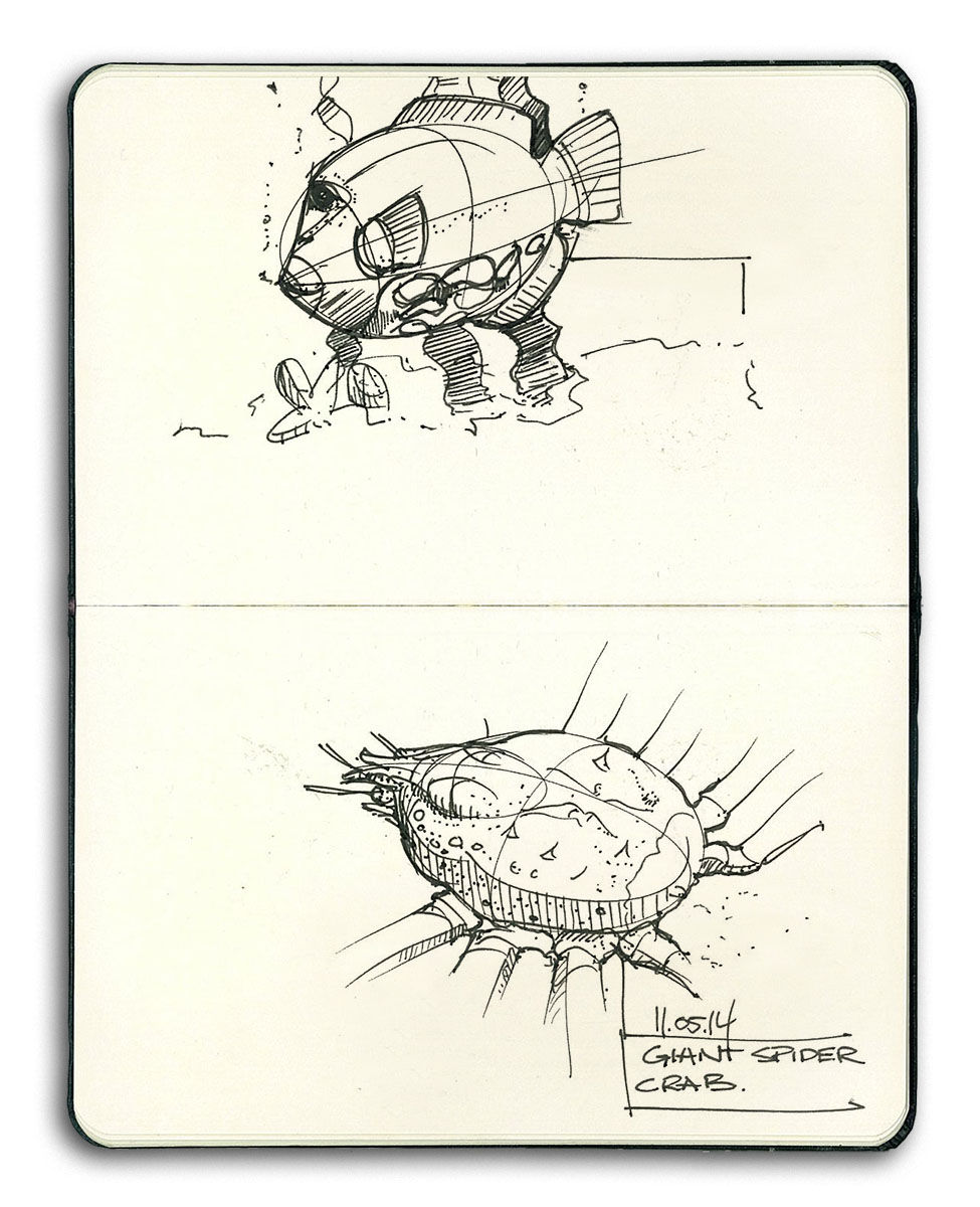 Sketches