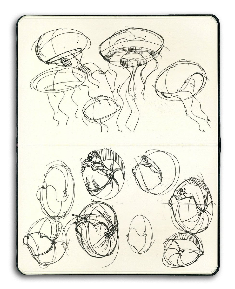 Sketches